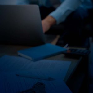 Cómo Analizar Subastas para Maximizar Ganancias
